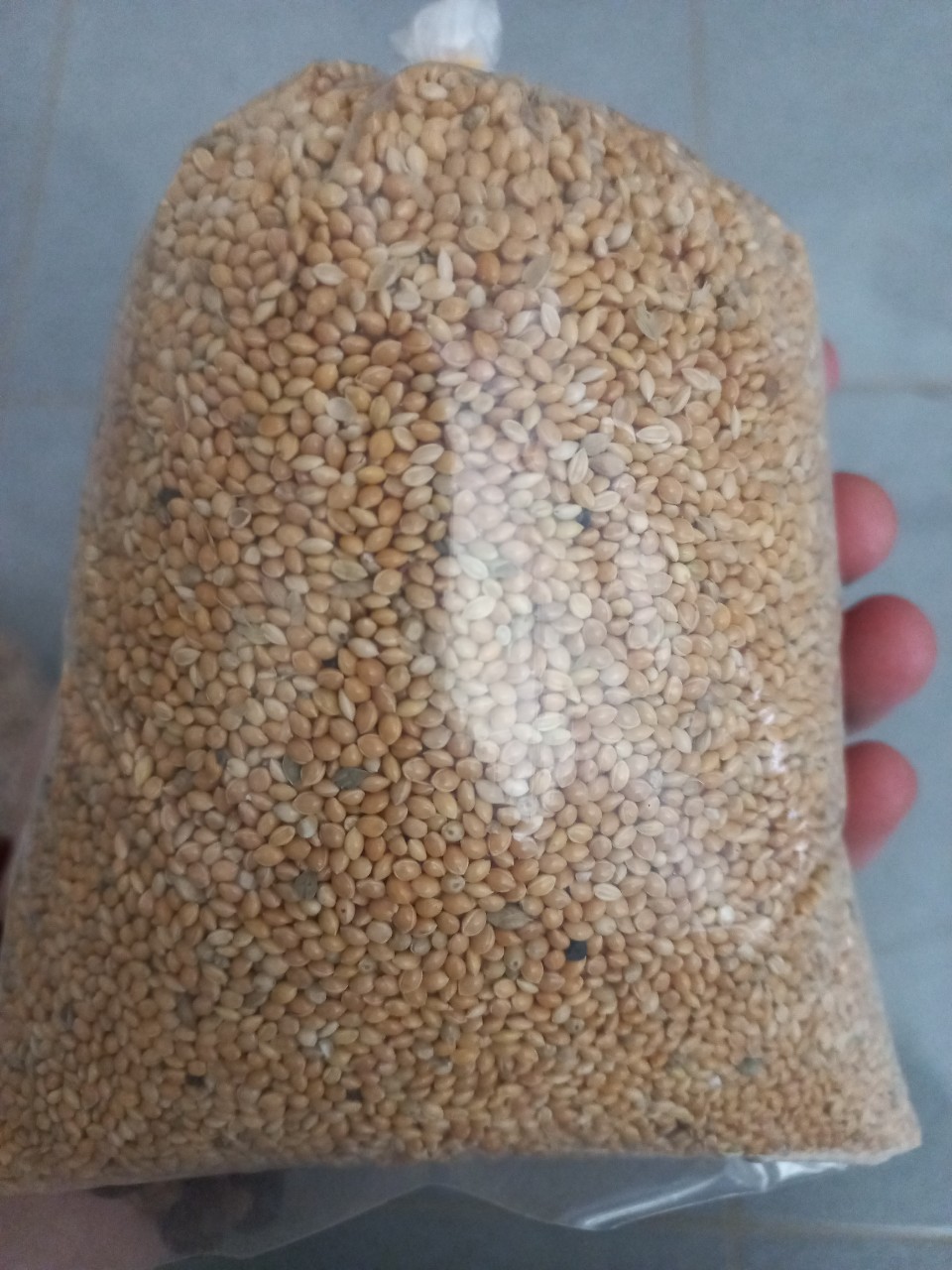 Hạt kê vàng, kê đỏ,hạt bo bo thức ăn cho chim cảnh