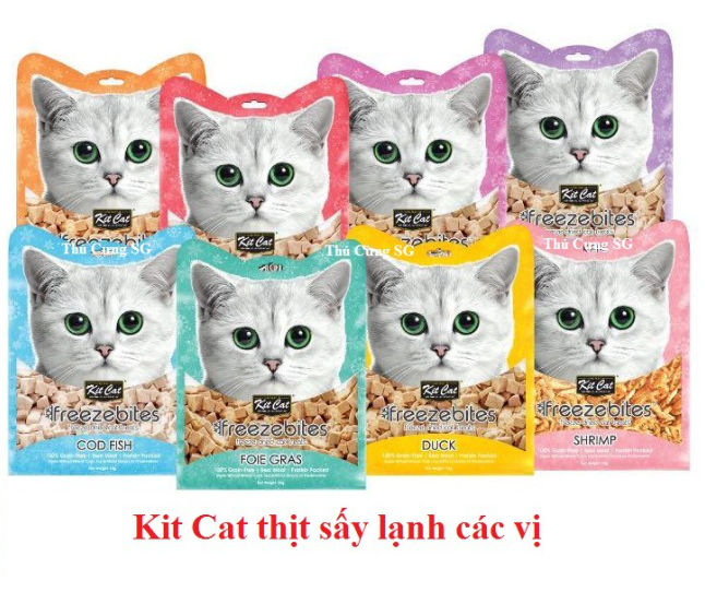 Bánh snack sấy KitCat Freezebites 15g