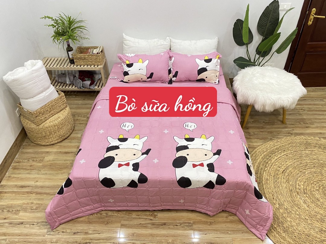 Chăn Hè Cotton Chần Bông 1m8x2m trần bông 2 mặt mẫu mới nhất, mẫu tia sét