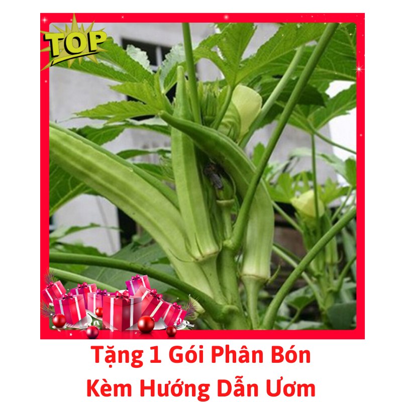 [Lấy mã giảm thêm 30%] Gói Hạt Giống Đậu Bắp Xanh