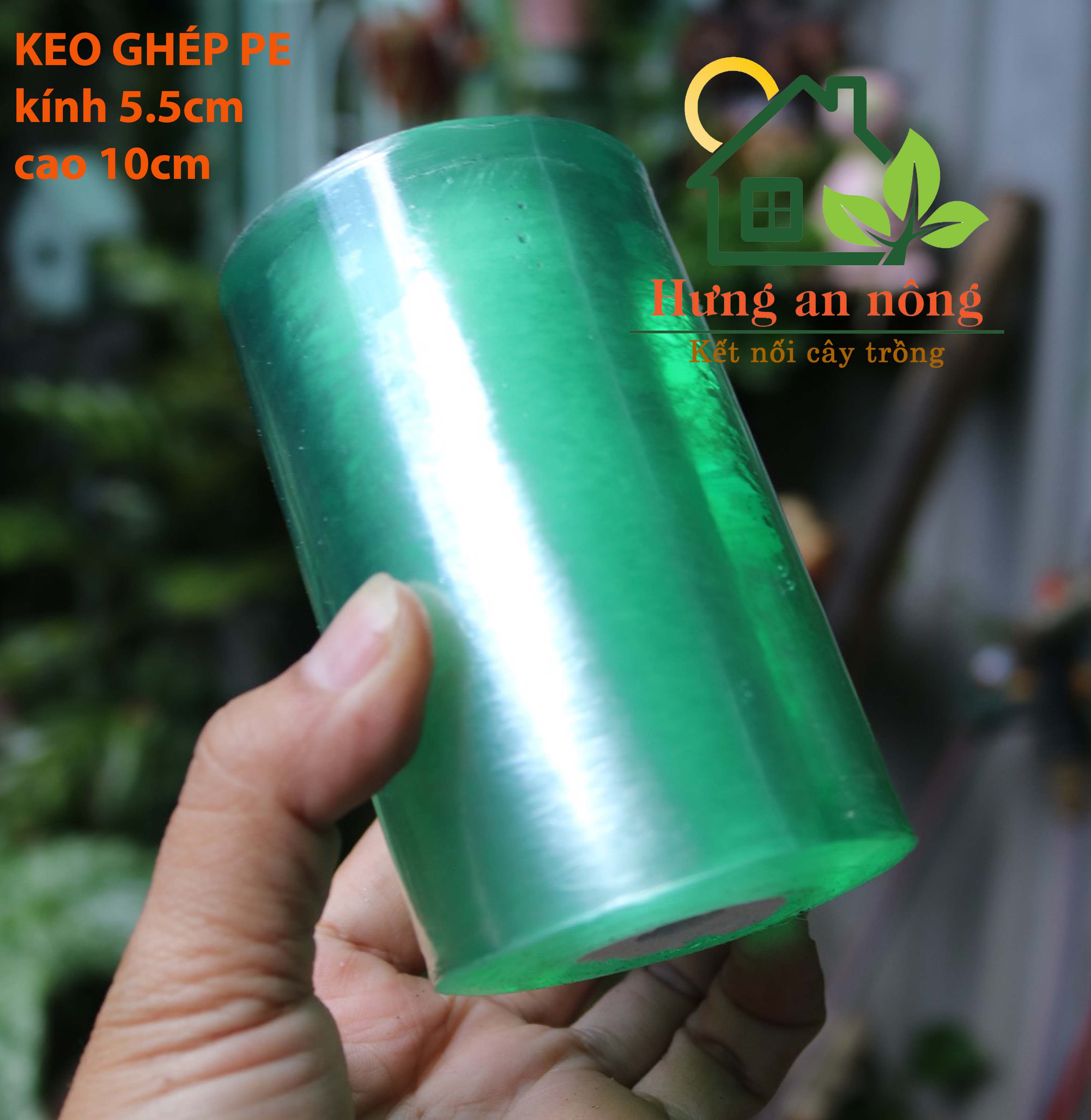 Băng keo trong bản 10cm ghép cành tự dính chất liệu nhựa PE