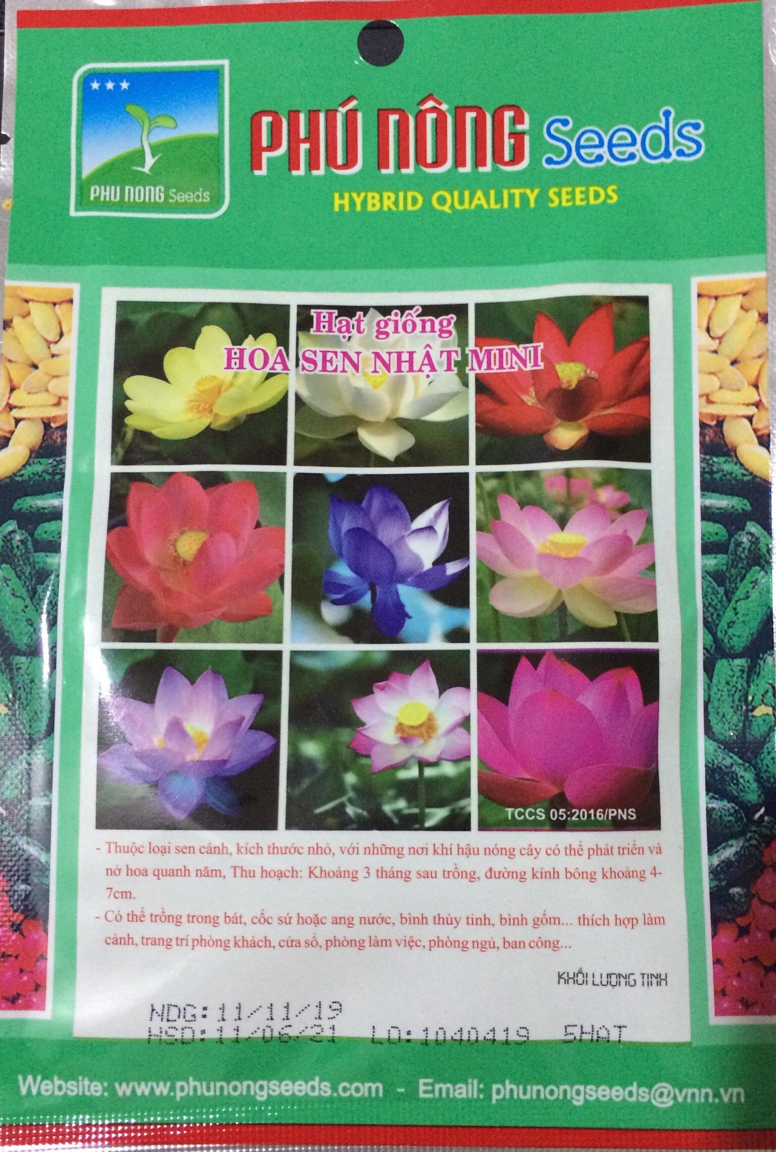 [HCM]SEN NHẬT MINI NHẬT -PHÚ NÔNG SEED -GÓI 5 HẠT