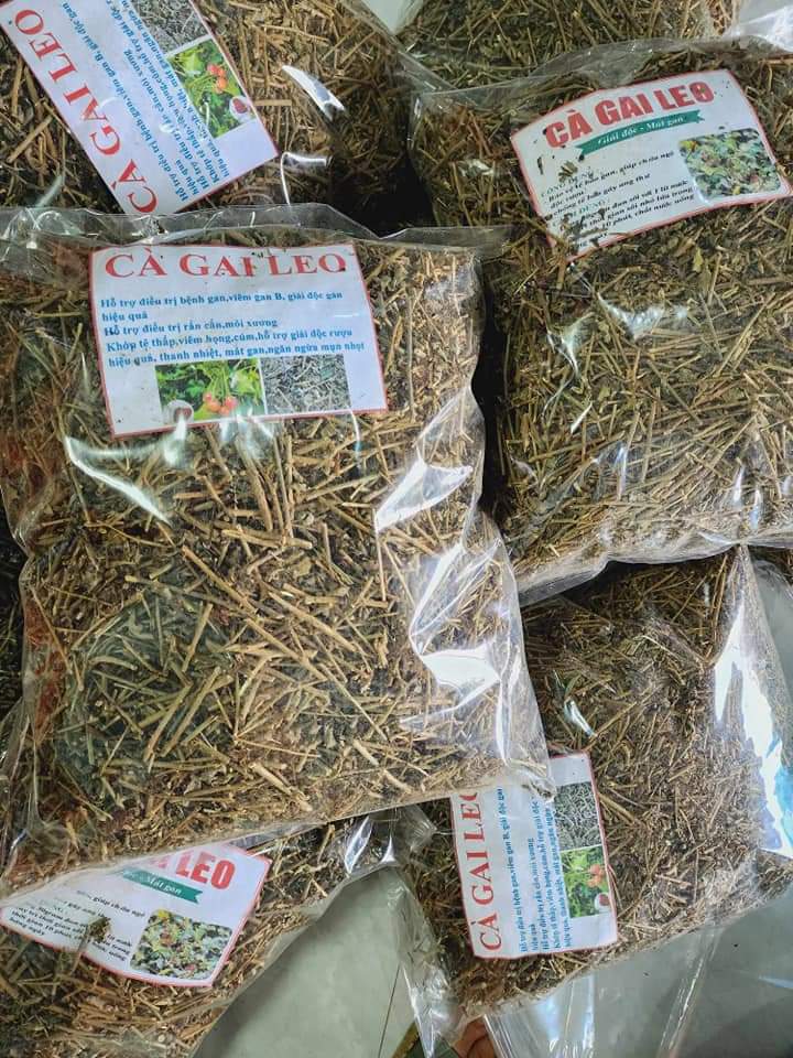 (Dược liệu khô) Cây Cà gai leo phơi khô 500g