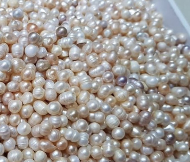 500gr Bột Ngọc Trai (Ánh xà cừ, Nghiền Nguyên Hạt)