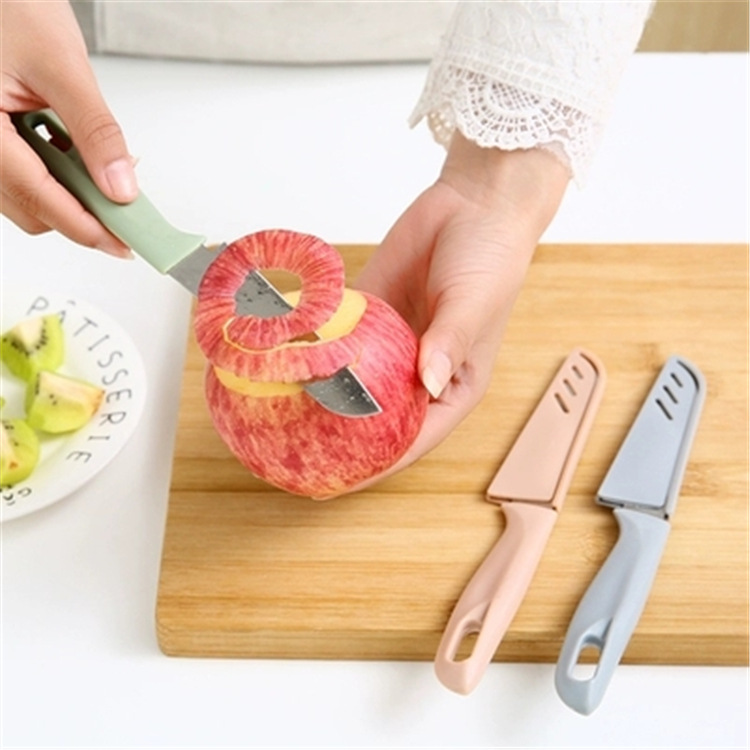 Fruit and vegetable paring knife