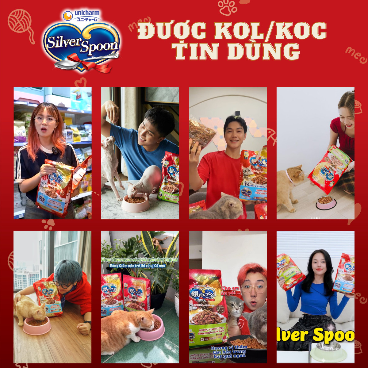 Thức ăn hạt cho mèo Silver Spoon - Vị Thịt gà 1kg