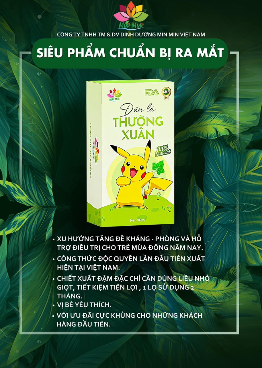 Dầu Lá thường xuân Min Min