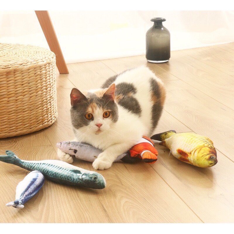 Cá đồ chơi Catnip cho chó mèo nhồi bông