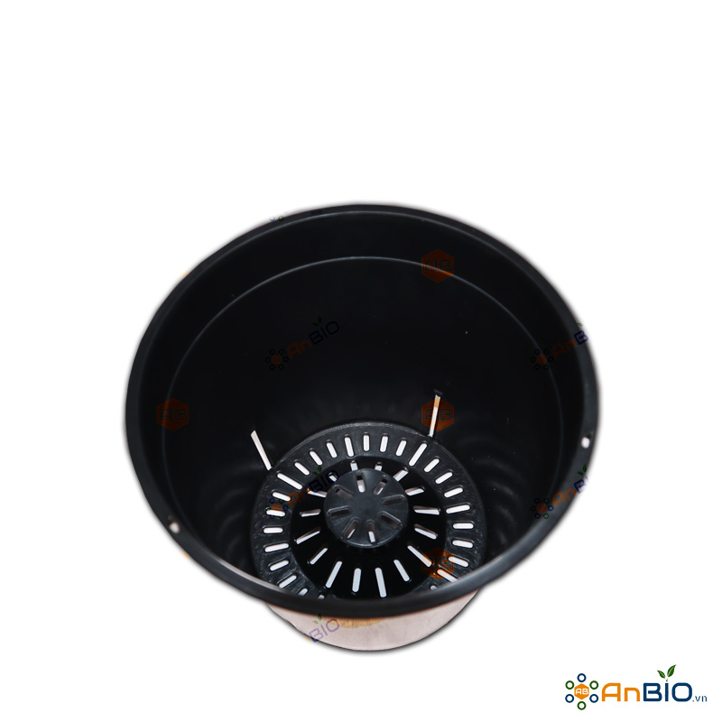 Block 5 cái chậu nhựa trồng lan kiếm | đường kính 20cm