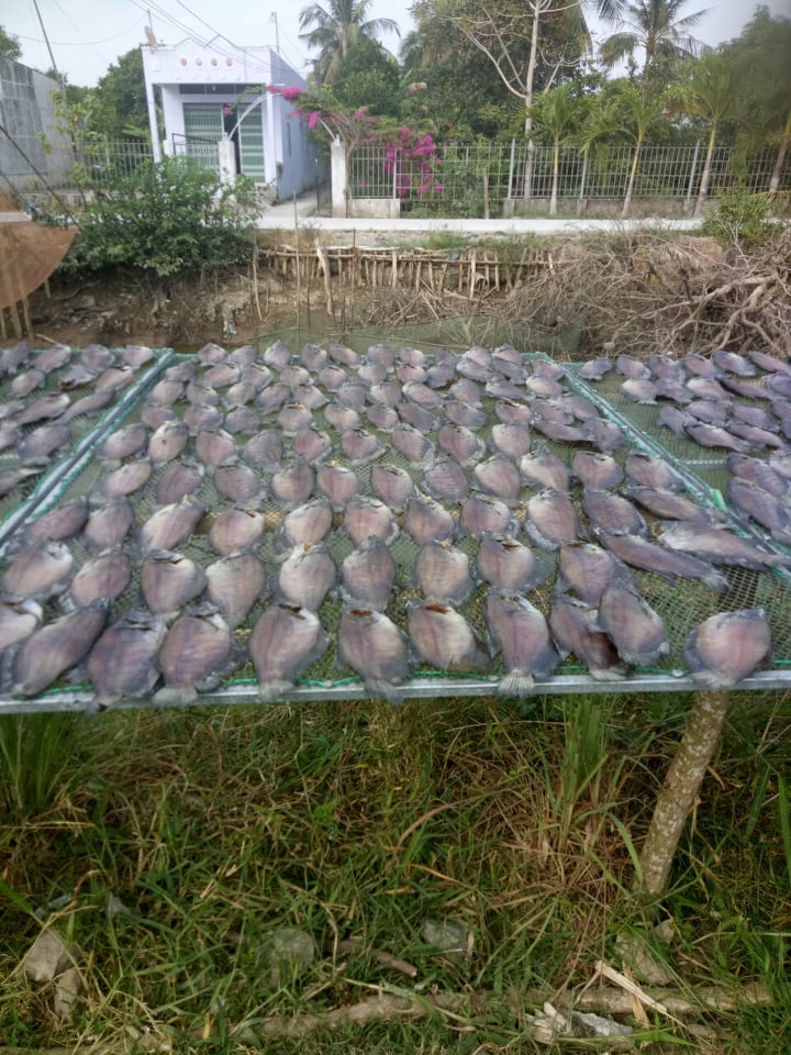 Khô sặc rằn U Minh - Cà Mau (8 con/500gam)