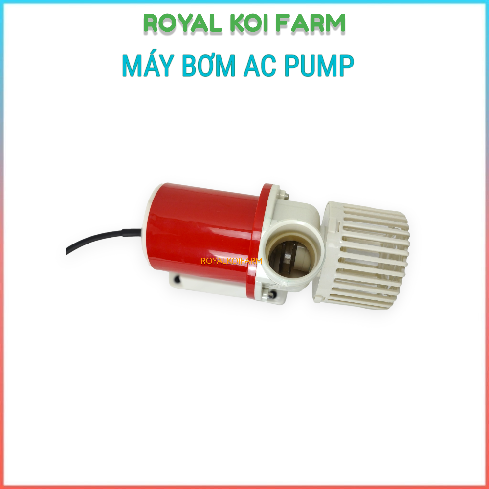 Máy Bơm Nước AC Pump 9000, 12000, 15000, 25000