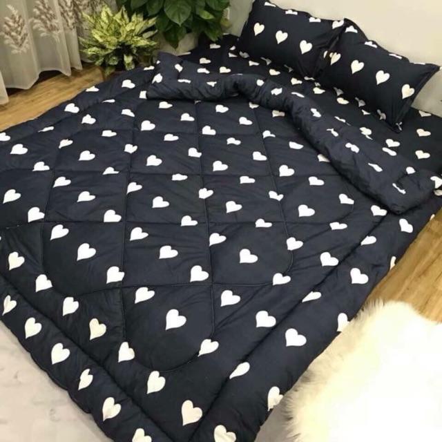 Set 5 món chăn hè - Ga chun - Áo Gối - Đủ Size (RVT)