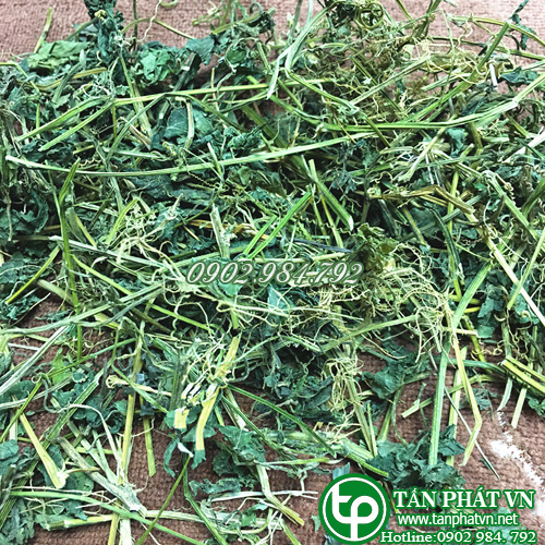 Combo giá rẻ - 2kg dây khổ qua rừng chất lượng cao - hàng của công ty Tấn Phát