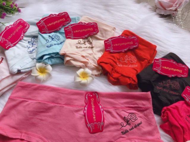 Set 5 Quần Lót Cotton Thái Lan Mịn Mát Bigsize 169 (7P69)