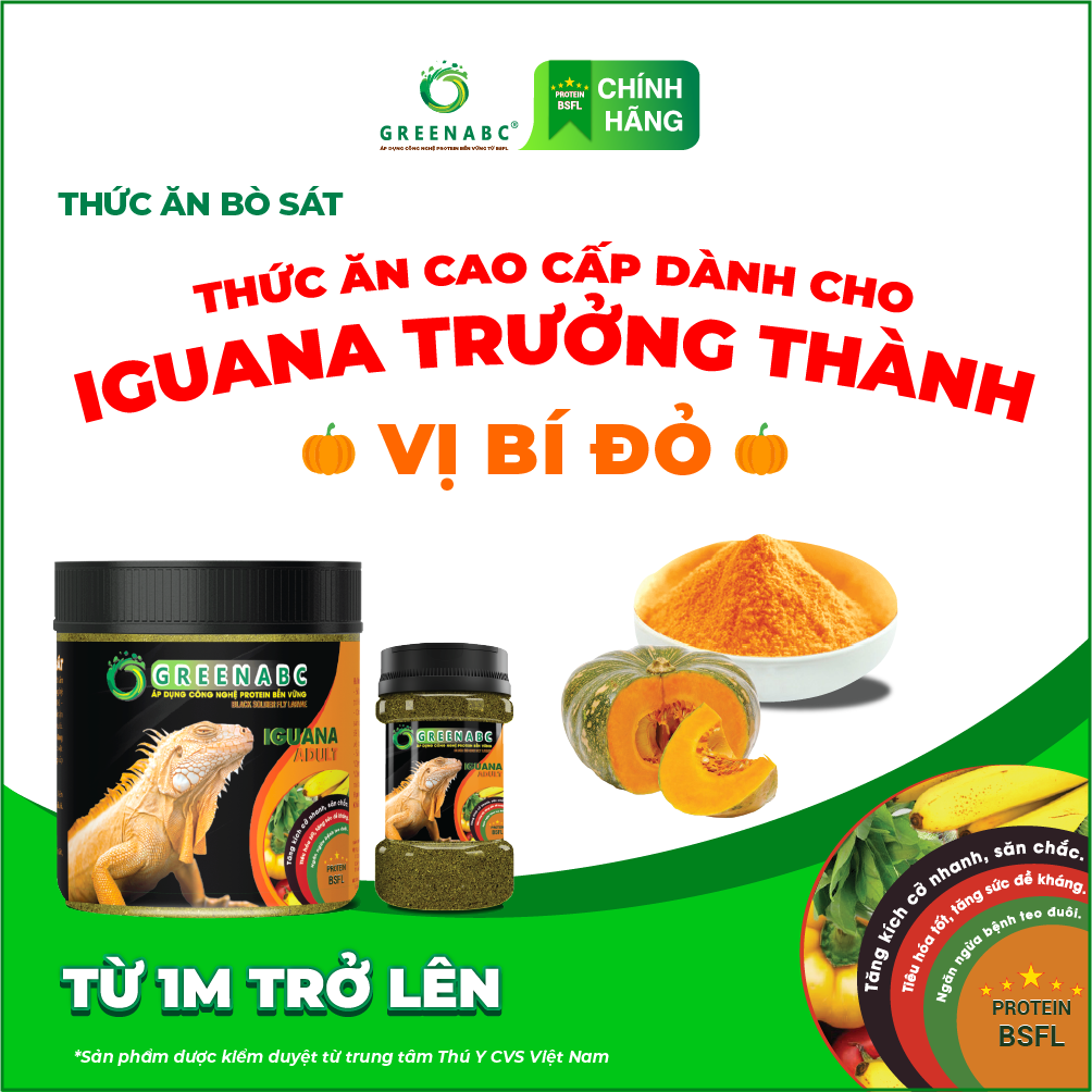 Thức ăn bò sát IGUANA TRƯỞNG THÀNH vị BÍ ĐỎ - Rồng Nam Mỹ GREENABC cho Iguana từ 1m trở lên - Tăng size, tăng màu, tiêu hóa tốt - Hộp 230g