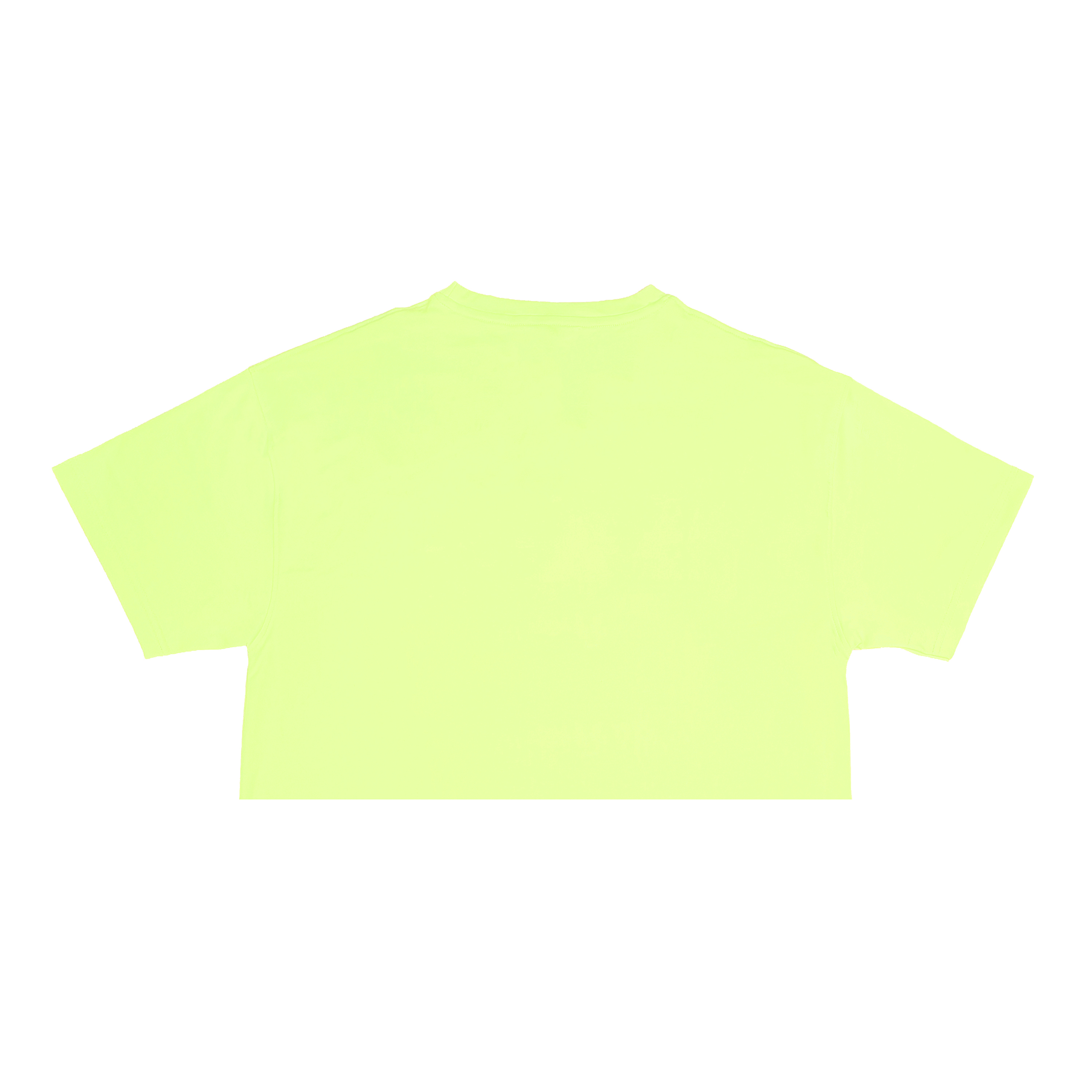 Áo thun nữ croptop Davies DSS Croptop Basic Logo SS2 - Mint