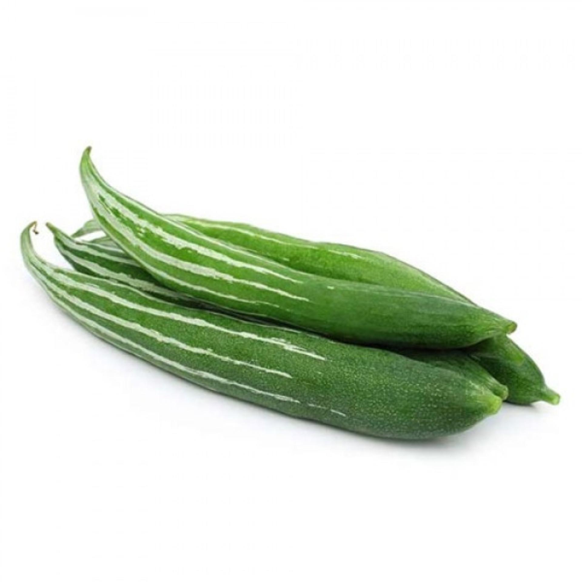 1g Hạt giống Mướp rắn (tặng Kích nẩy mầm, Hướng dẫn ươm)