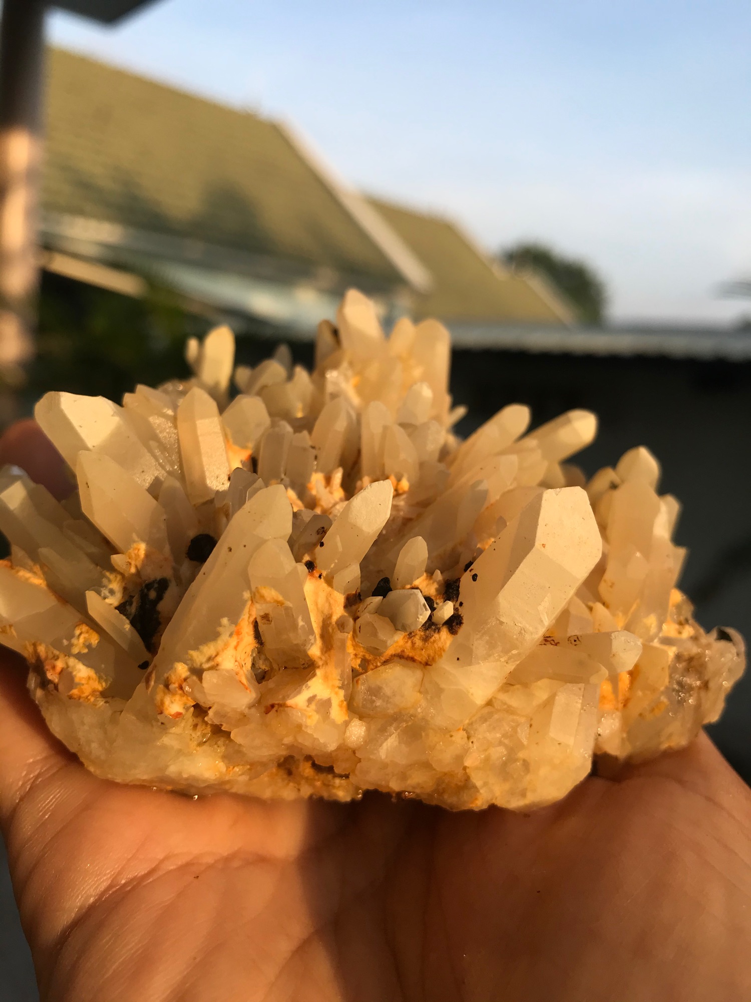 Bụi tinh thể đá Thạch Anh vàng nhím xù
