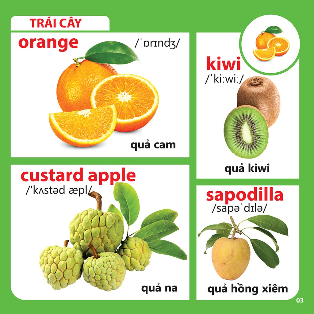 Bách Khoa Toàn Thư Cho Bé - Rau-Củ-Quả (mềm)46k
