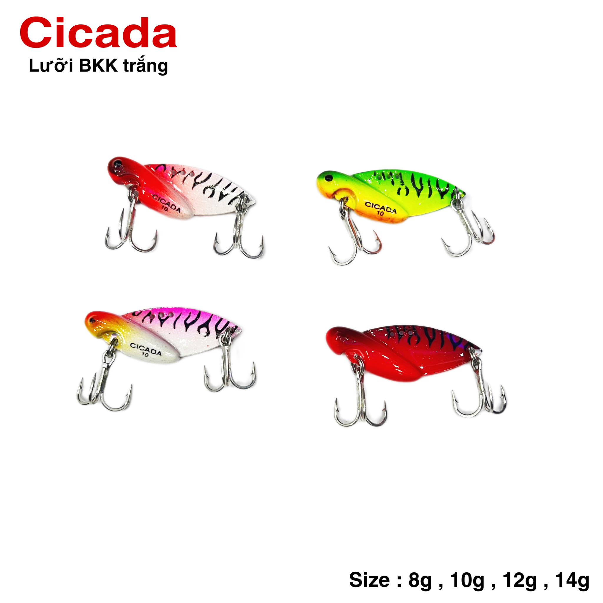 Cá sắt Orichi, Cicada, Fishen lưỡi BKK trắng