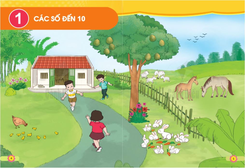Toán Lớp 1 -Bộ Cánh Diều