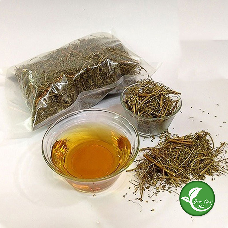 Cây Diệp hạ châu (gói 1kg khô) - DL038