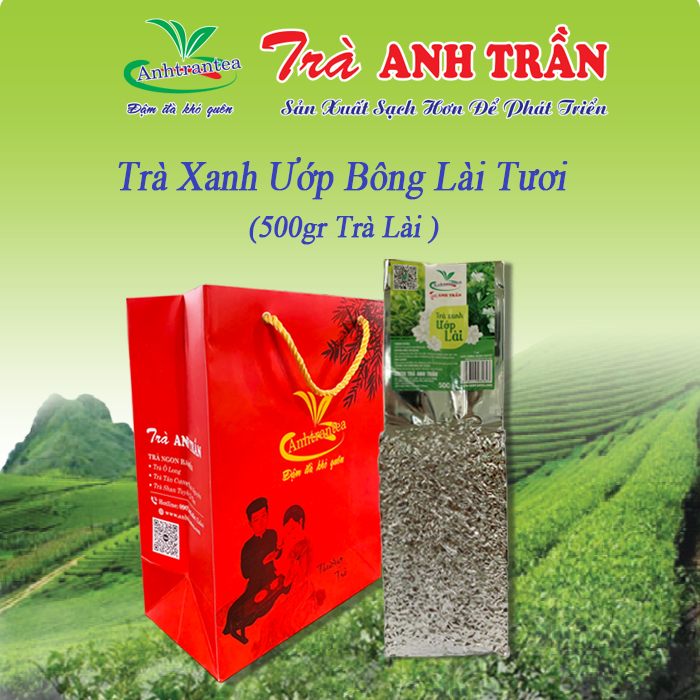 [TRÀ HOA LÀI] Trà xanh Ướp bông lài tươi 500g