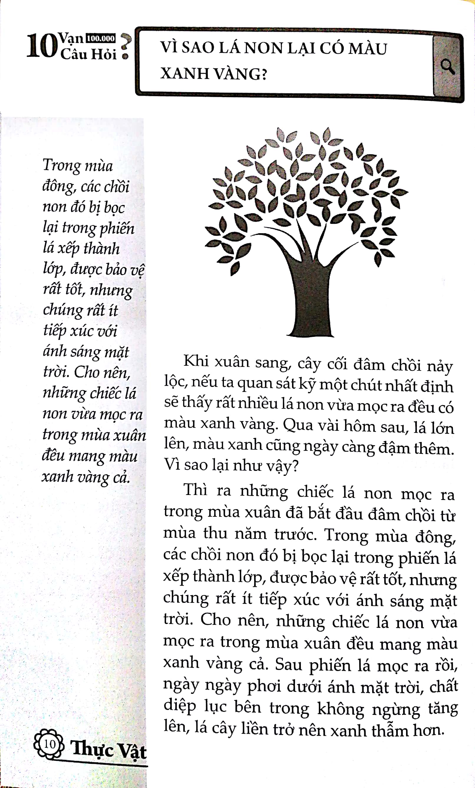 Fahasa - 10 Vạn Câu Hỏi Vì Sao? - Thực Vật (Tái Bản)