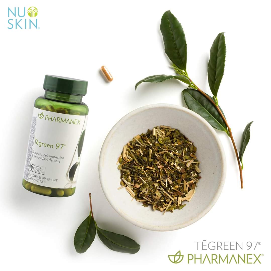 (Hàng Mỹ) Tegreen 97 Nuskiin - 120 viên
