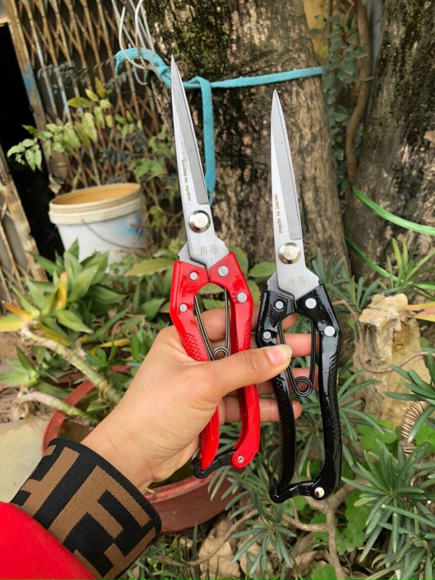 Combo 4 món chăm sóc cây cảnh, bonsai