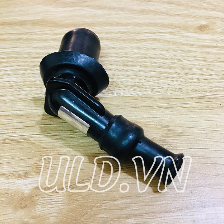 [HCM]CHỤP BU GI ATILA