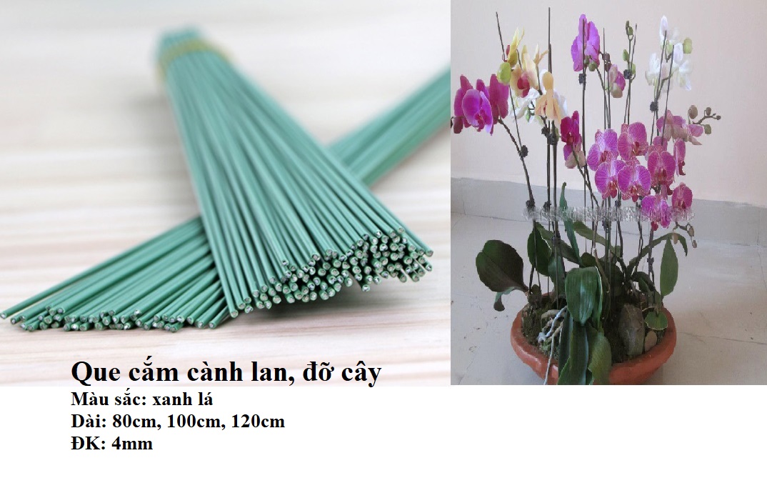 Set 5 chiếc Cây kẽm bọc nhựa uốn cành lan, que cắm cành lan hồ điệp que uốn cành lan 80cm