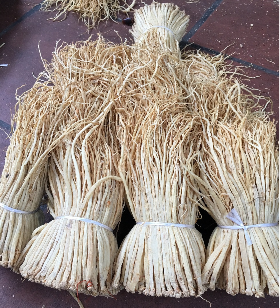 1kg Đẳng Sâm Tây Bắc-   Có Tặng Quà