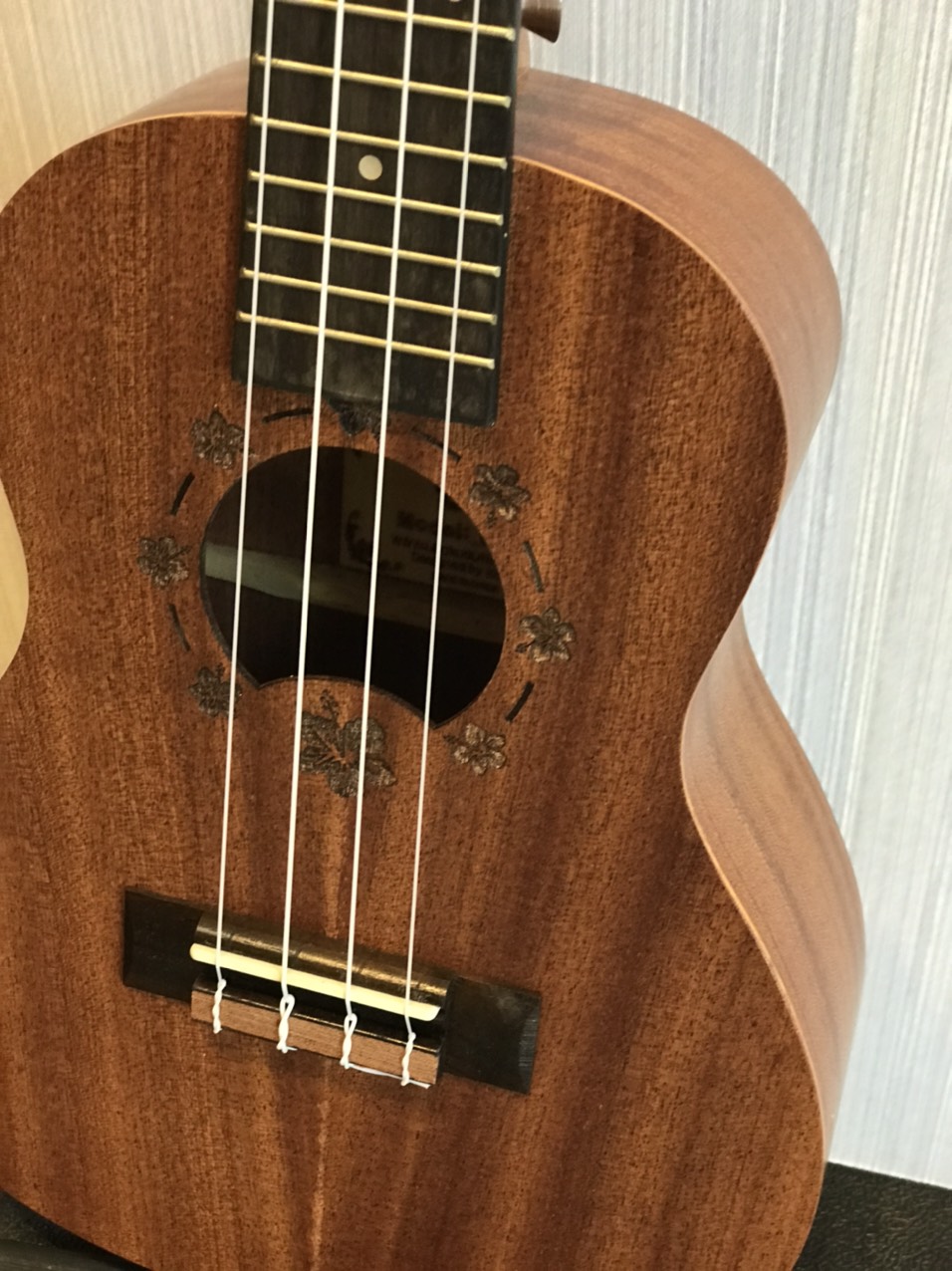 Đàn Ukulele concert Ukaku C10F Cao cấp