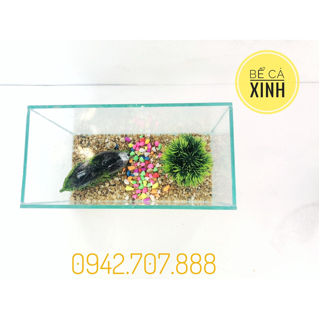 Bể cá mini + phụ kiện cây+ tàu + sỏi + thức ăn