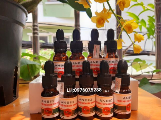Combo 3 chai Thuốc diệt kiến gián sinh học Anbio 10ml