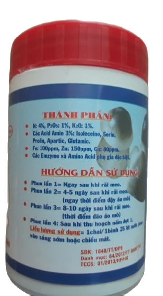Làm ấm giống nấm rơm