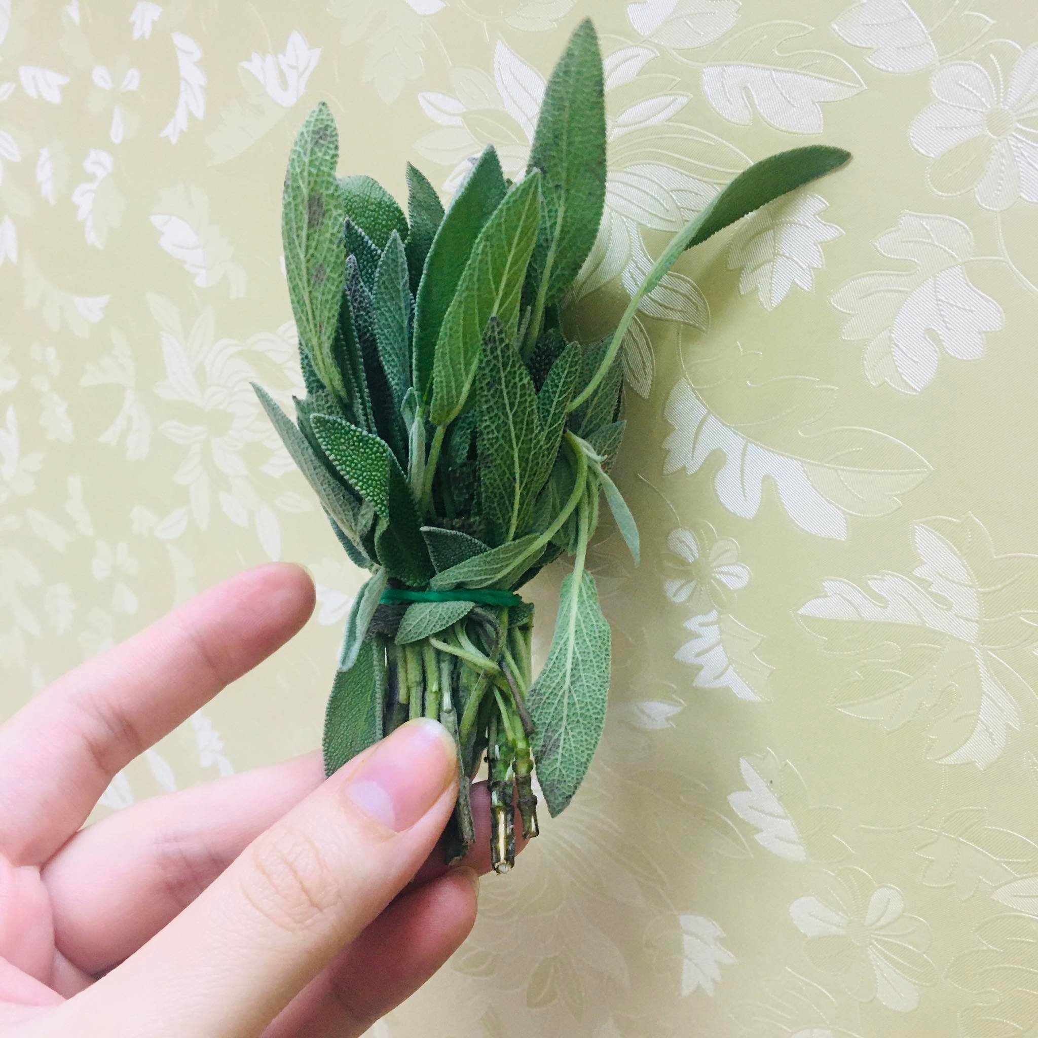 (chỉ giao miền Bắc+TUNG)Lá xô thơm sage tươi 50g,100g