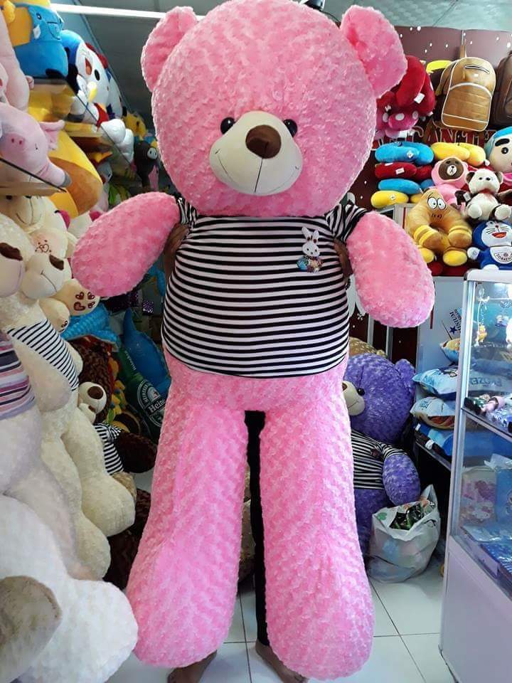 GẤU BÔNG TEDDY KHỔ VẢI 1M6 CAO 1M4