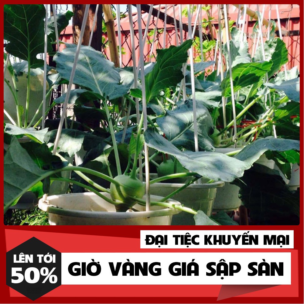 Hạt Giống Su Hào Phú Nông 2 Gram