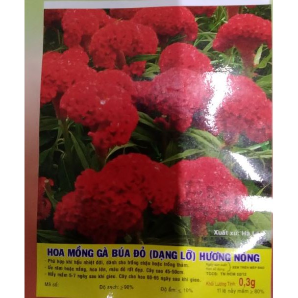 Hạt Hoa Mồng Gà Búa Màu Đỏ - Gói 0,1 Gram