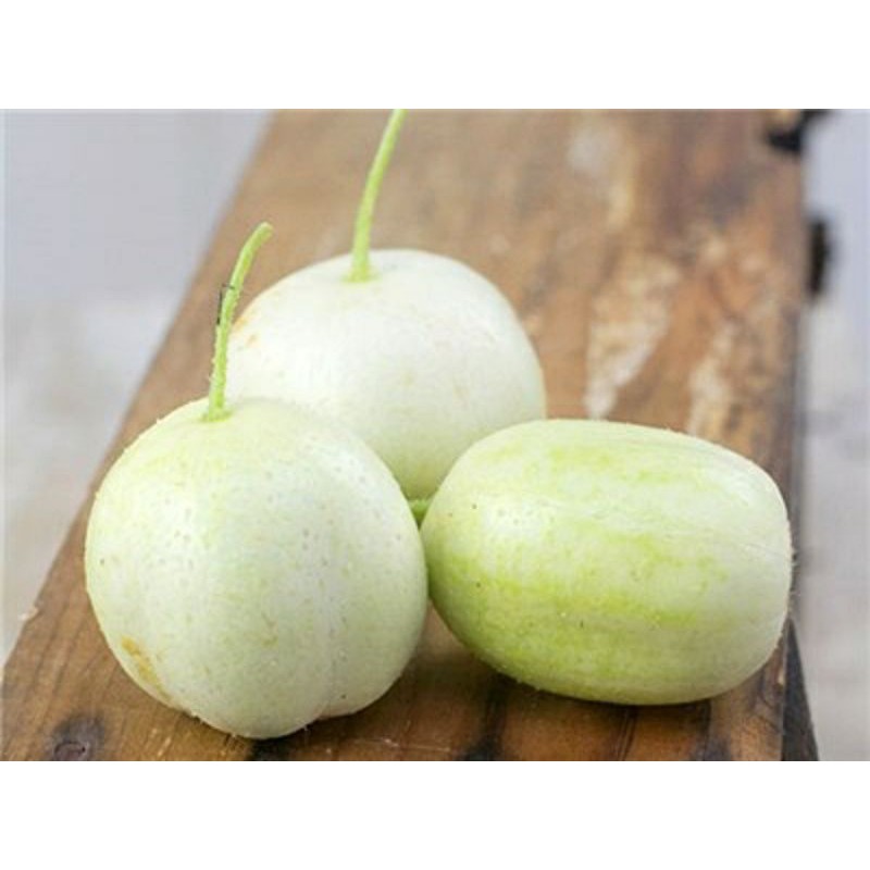 (Nk Mỹ) Hạt Giống Dưa Chuột Chanh Lemon - (15 Hạt)