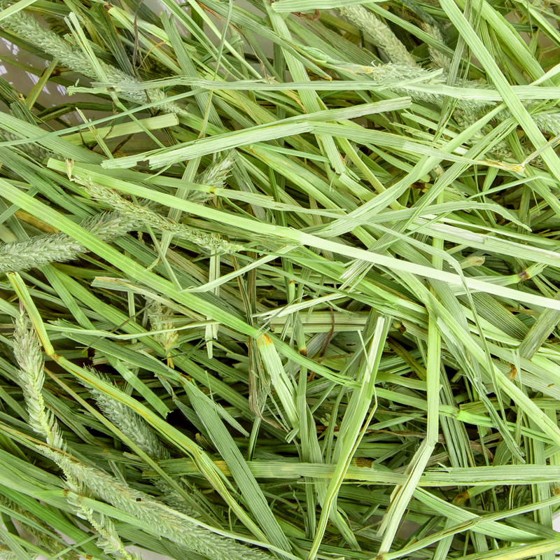 Supper Rabbit Cỏ Timothy 600gr
