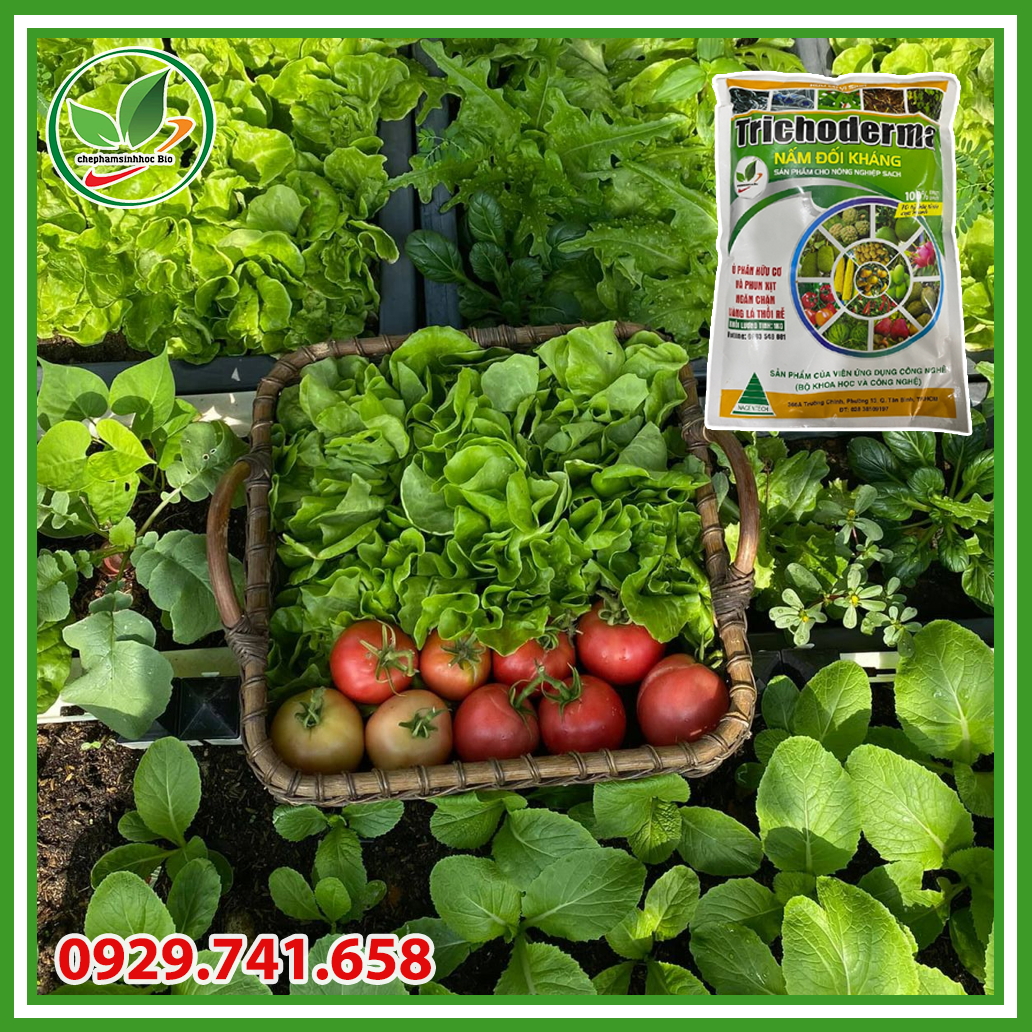 Nấm ủ Trichoderma dạng bào tử chịu nhiệt cao cấp. Túi 1kg