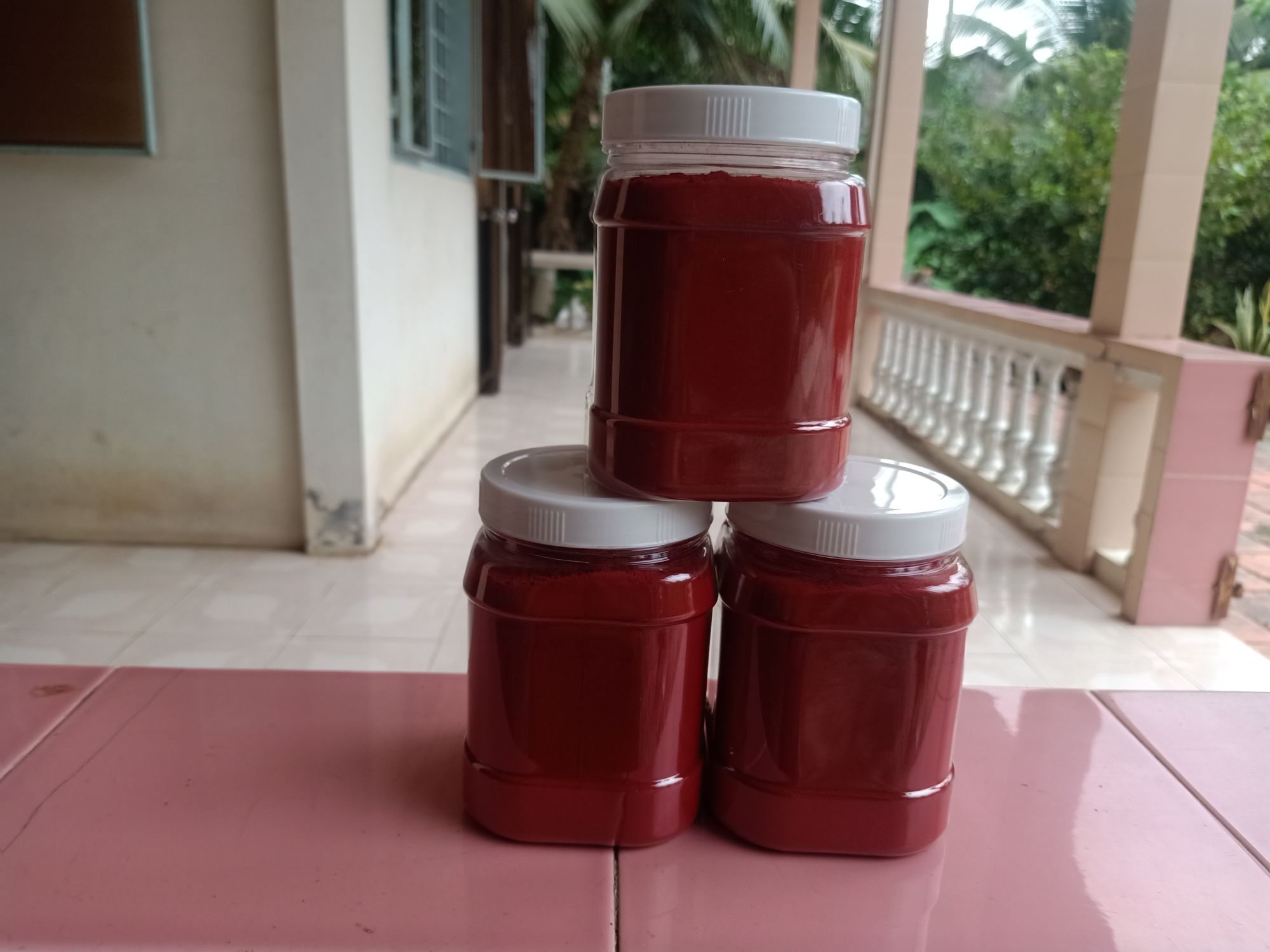 NGHỆ ĐỎ VÔ GÀ, KEO 0.5KG