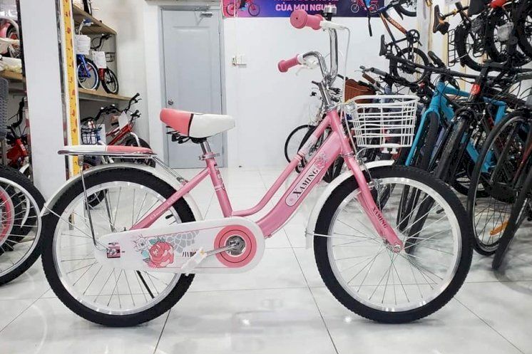 Xe Đạp Trẻ Em 20 Inch Xaming Nữ ( NEW 100 )
