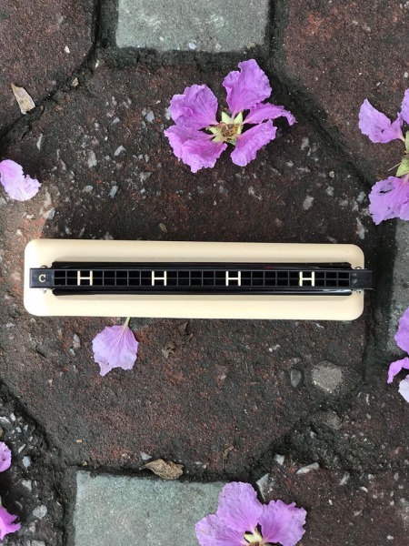 hot sale Kèn Harmonica Tremolo cho người mới tập làm quen với harmonica Qimei giá rẻ