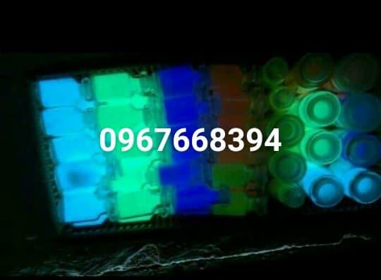 combo 3 lọ bột dạ quang tặng kèm sơn pha