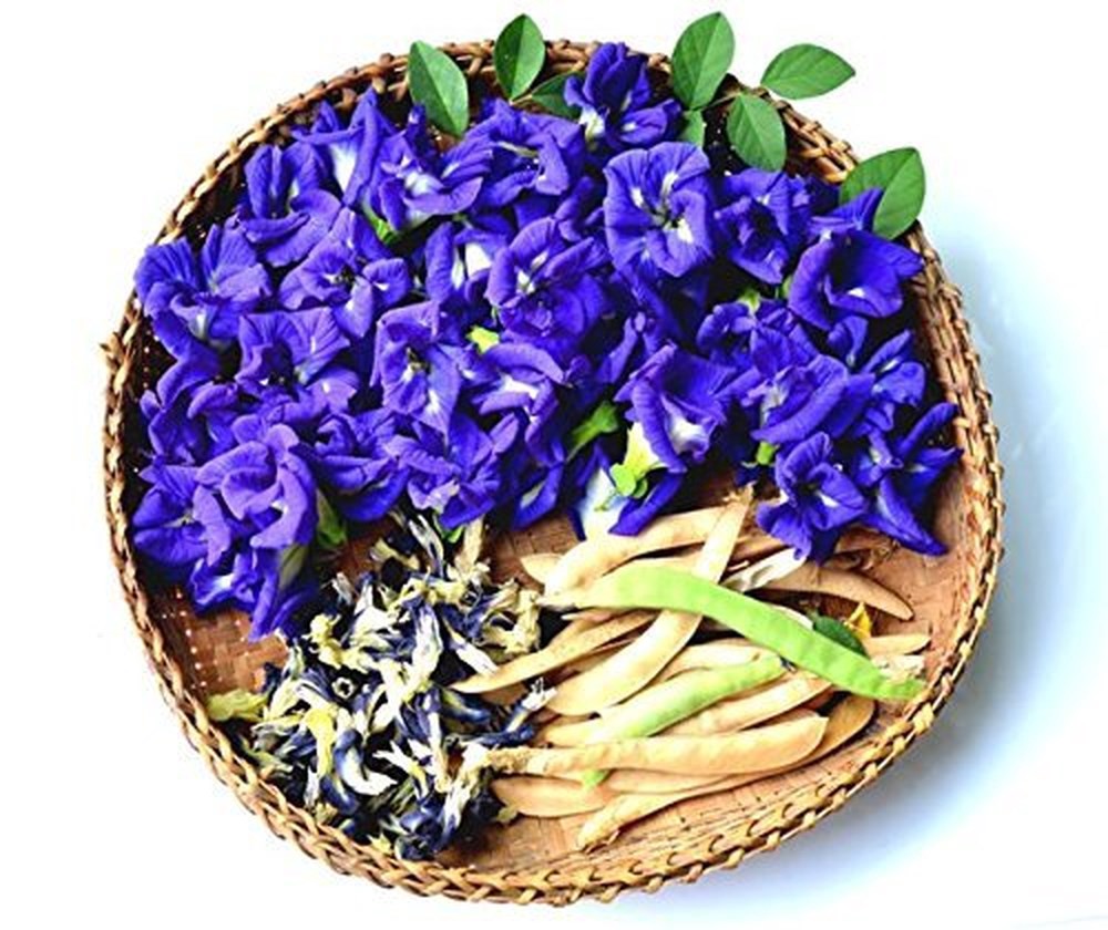 Hạt Giống Hoa Đậu Biếc Đơn Dây Leo, Hoa Nở Quanh Năm (2 gam ~ 35 hạt)
