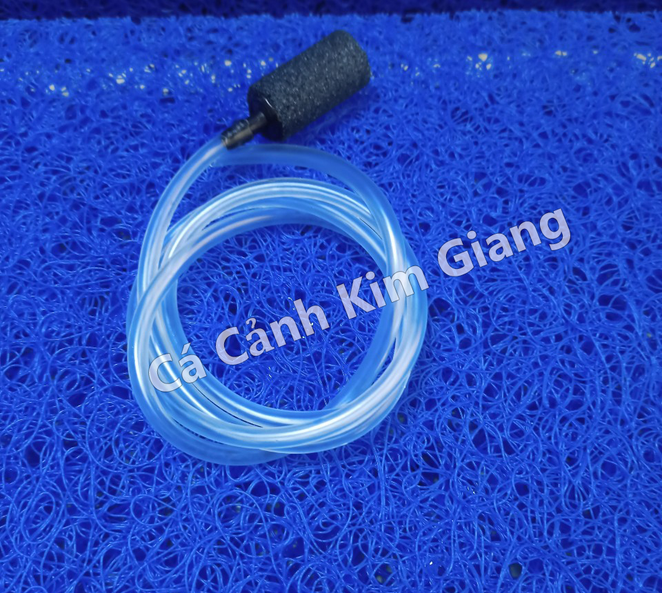 [Tặng Dây + Cục sủi] Máy sục oxi 1 vòi